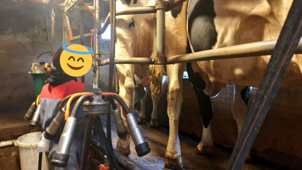 Agriskippy