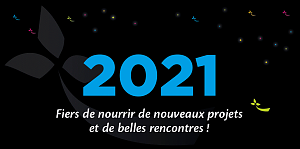 Bonne année 2021